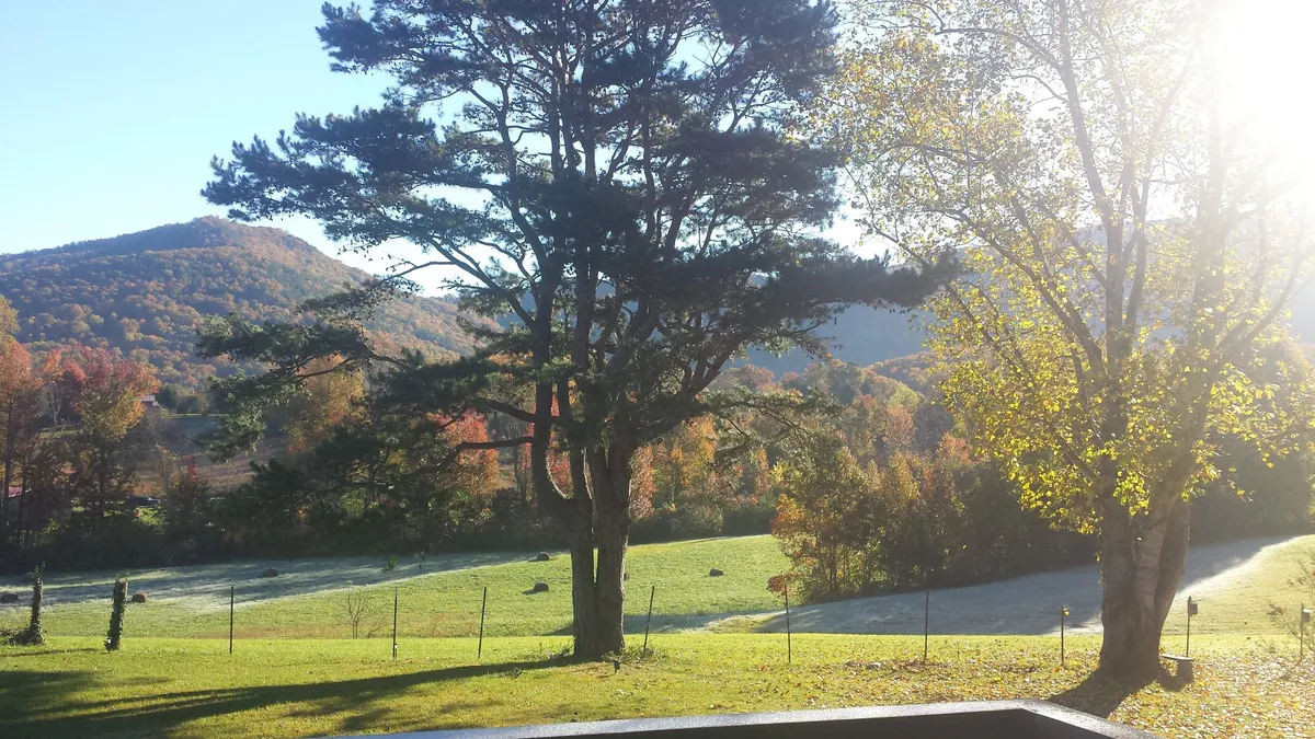 A tall tree stands amidst rolling hills and autumn foliage, bordered by a rustic fenced pasture. The scene evokes the changing seasons, with golden leaves and soft morning light, perfect for photography, walks, or quiet moments in nature.